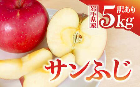 【先行予約】令和6年産 りんご サンふじ 訳あり 5kg (14～18玉)  12月上旬発送開始 数量限定 人気 お試し 甘い 旬 果物 リンゴ フルーツ 林檎 岩手県 金ケ崎町