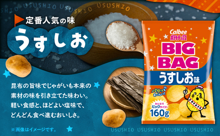 【 期間限定 特別価格 】 カルビー ポテトチップス BIGBAG 【 うすしお 】 12袋 K194-002_04 ポテチ チップス 菓子 お菓子 スナック スナック菓子 おやつ おかし じゃがいも