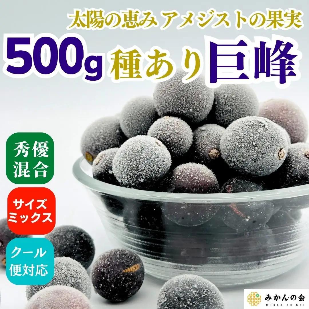 冷凍 種あり 巨峰 約500g 秀優混合 サイズミックス 和歌山県産 産地直送 ぶどう クール便  【みかんの会】