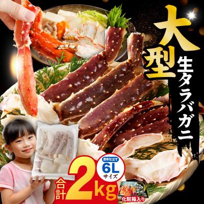 ふるさと納税 泉佐野市 生タラバガニ 2kg 大型 6Lサイズ 昆布仕立て 化粧箱入り ギフトにも kgp0061