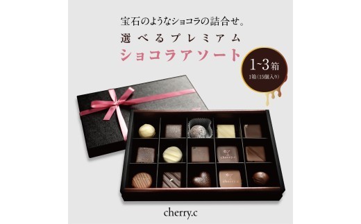
            ＜選べる箱数＞プレミアム ショコラ アソート15個×1〜3箱【cherry.c】お菓子 洋菓子 贈り物 ギフト 手土産 詰め合わせ チョコレート チョコ ショコラ スイーツ ベルギー ビター バレンタイン ホワイトデー [024-a002_A/024-a005_A/024-a006_A]
          