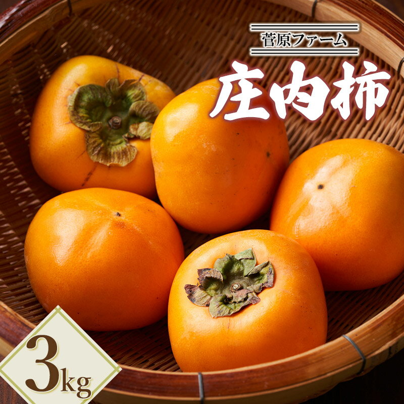 【ふるさと納税】【令和7年産先行予約】庄内柿　約3kg　菅原ファーム
