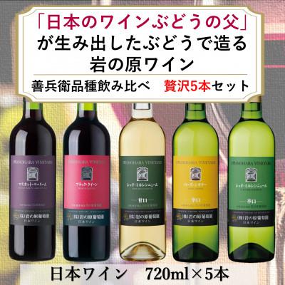 ふるさと納税 上越市 岩の原ワイン　「日本のワインぶどうの父」川上善兵衛が生み出した品種飲み比べ　贅沢5本セット