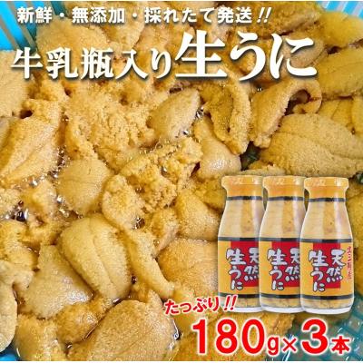 ふるさと納税 普代村 北三陸産 天然生うに 180g×3本 (牛乳瓶入りウニ) うに瓶詰め