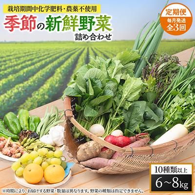 ふるさと納税 輪之内町 【毎月定期便】【栽培期間中化学肥料・農薬不使用】季節の新鮮野菜の詰め合わせ 全3回