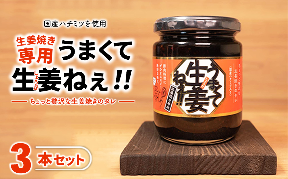 うまくて生姜ねぇ!!生姜焼き専用 3本セット | しょうが 国産 醤油漬け しょうが焼き タレ ごはんのお供 調味料 薬味 隠し味 猪苗代町 福島県