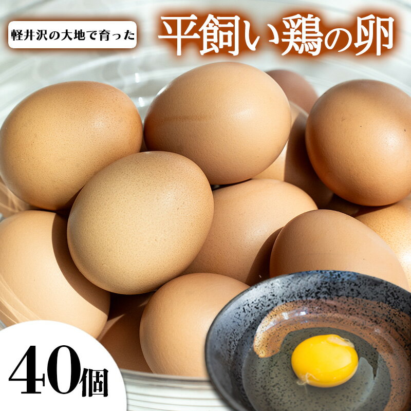 【ふるさと納税】卵　40個　軽井沢町