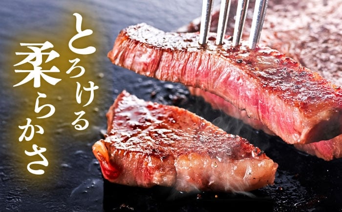 くまもと 黒毛和牛 和王 サーロイン ステーキ 約200g（約200g×1枚）