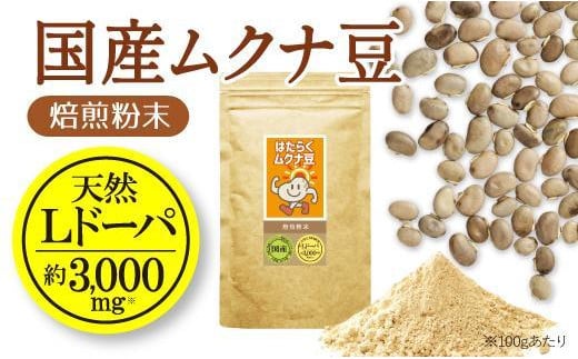 
国産ムクナ豆粉末 300g×１袋【老舗生薬屋のムクナ豆】 A-505
