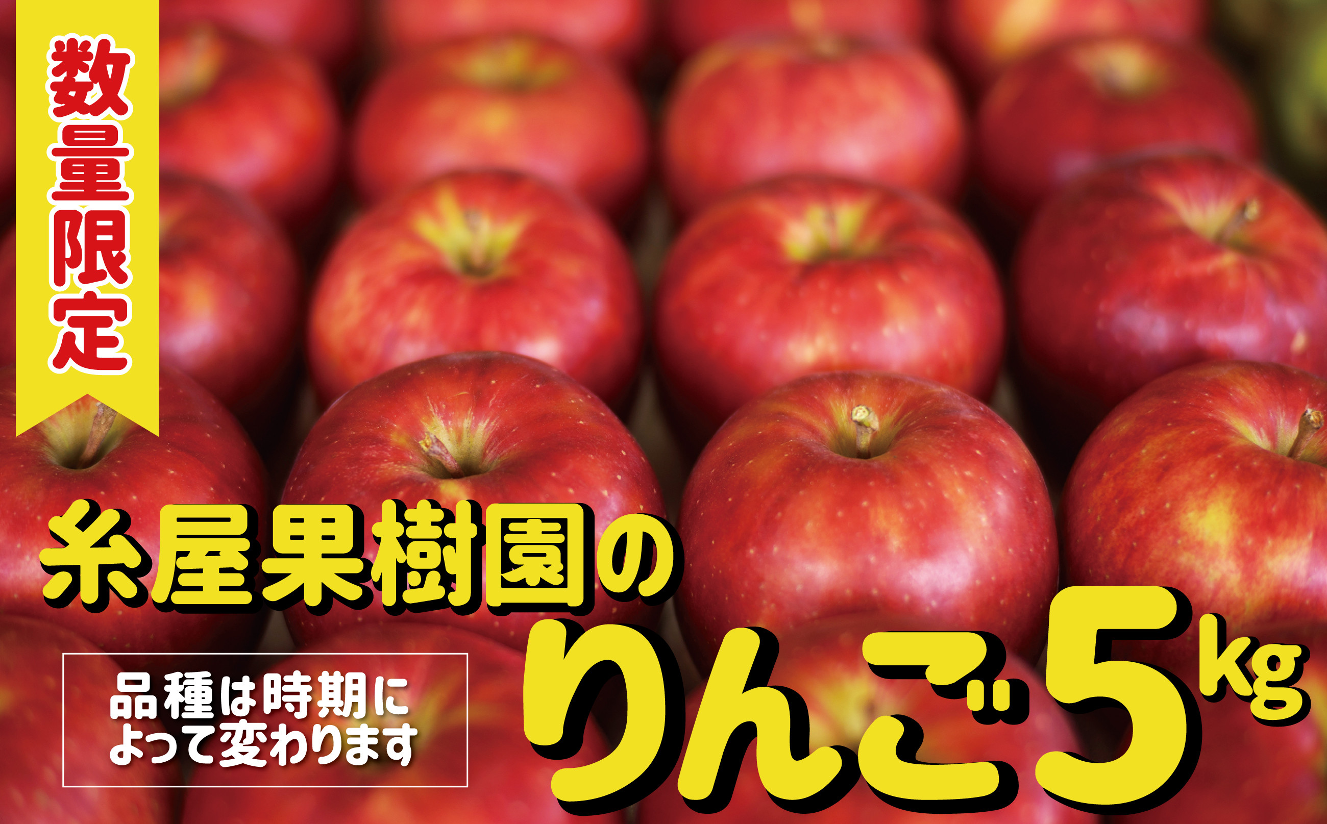 
            【数量限定・予約受付】糸屋果樹園の「りんご」５kg 60P3403 / りんご リンゴ 林檎 果物 くだもの フルーツ  東北 秋田 大館 中山 中山地区 わせふじ つがる 紅ほっぺ 
          