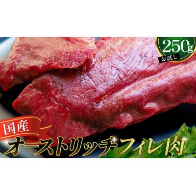 ふるさと納税 美里町 国産オーストリッチお試しフィレ肉　250g ◆ダチョウ肉