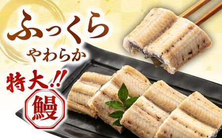全6回定期便 鹿児島産うなぎ 白焼2尾セット 桂川町/山水商事[ADAH016]