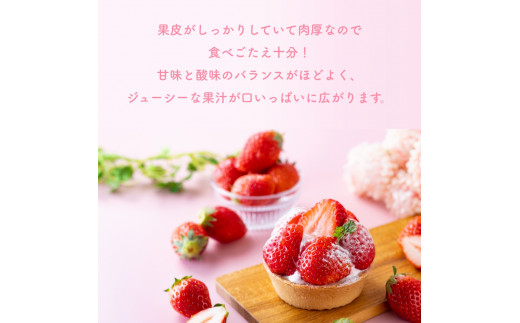 （冷蔵）【４月発送分】イチゴ 奈良県産高級ブランド品種「古都華」デラックス（270g×２パック） ／ 上田農園 苺 いちご フルーツ 奈良県 田原本町