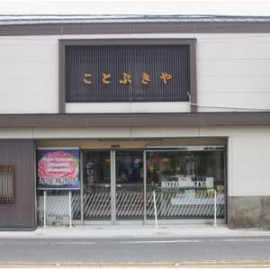 知多フレッシュポーク ロース テキカツ(計8枚 100g×4枚×2P)愛知県南知多町産 [配送不可地域：離島]
