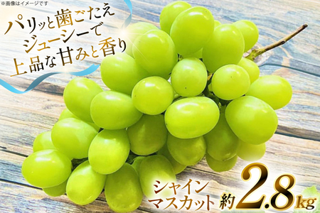 【期間限定発送】 シャインマスカット 4房 約 2.8kg [もん前の里 山形県 高畠町 tk06ays960005]