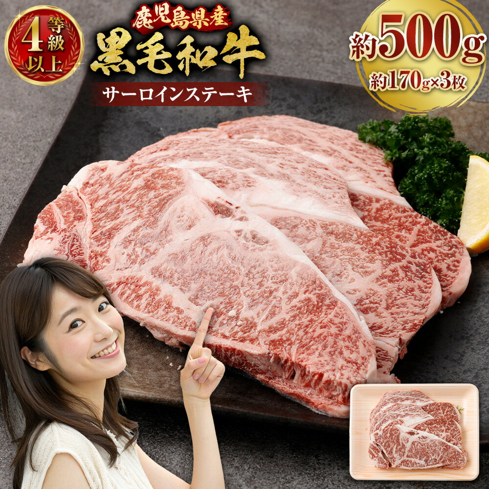 【ふるさと納税】【鹿児島県産】 黒毛和牛 サーロインステーキ 約500g （約170g×3枚） 牛肉 サーロイン ステーキ 国産 国産牛 ステーキ肉 肉 にく お肉 和牛 冷凍 鹿児島県 薩摩川内市 送料無料 BS-3122