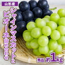 【ふるさと納税】山形産 ぶどう シャインマスカットとピオーネ詰め合わせ 秀品 約1kg 【令和6年産先行予約】FU23-480 フルーツ くだもの 果物 お取り寄せ 先行予約