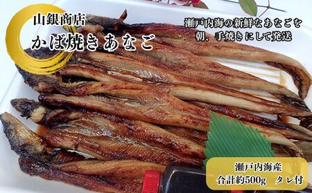 穴子 先行予約 山銀商店 かば焼き あなご (合計約500g) 