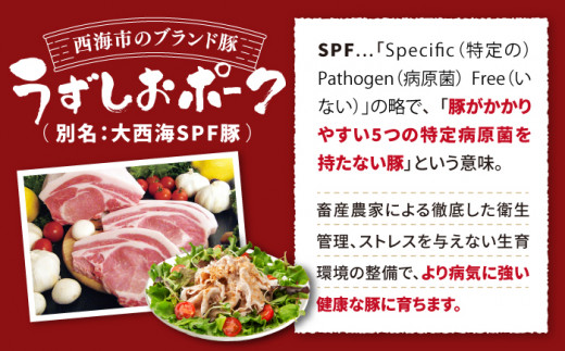 【2週間以内発送】長崎うずしおポーク SPF豚 大人気3種セット国産豚 訳あり ＜スーパーウエスト＞ [CAG218]