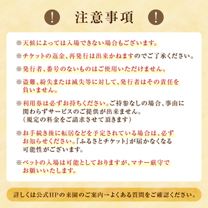 十勝千年の森 入場券 大人1名分【北海道 清水町 自然 十勝千年の森 十勝毎日新聞社 ガーデン 入場券 1名 レジャー おでかけ】_S030-0001