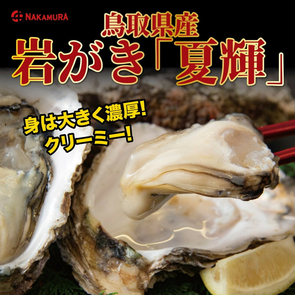 【ふるさと納税】鳥取県産 岩がき「夏輝」【中村商店】 | 国産 天然 岩ガキ 夏輝 牡蠣 かき 冷蔵 希少 期間限定 送料無料 鳥取県 鳥取市