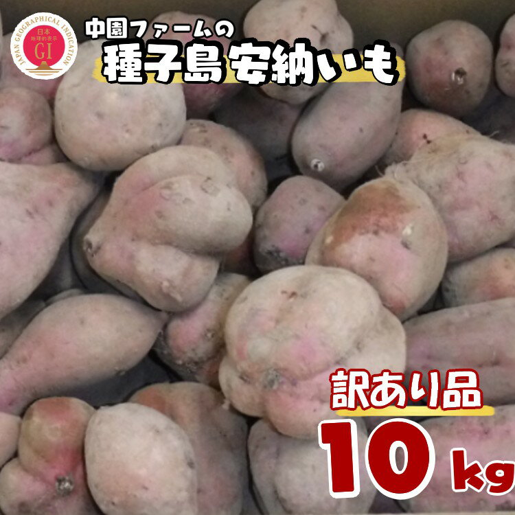 【ふるさと納税】 【 訳あり 】 種子島 安納いも ＼ 大容量 わけあり 生いも 10kg ／ 中園ファーム ふるさと納税 さつまいも 生芋 ふるさと納税 焼き芋 ホクホク ねっとり 蜜が出るほど 甘い 安納芋 芋 ふるさと 人気 ランキング