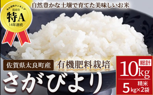 【令和７年新米先行予約】牟田農園のさがびより（５㎏×２袋）＜精米＞ 新米 予約 令和7年 米 さがびより 牟田農園 佐賀県 太良町 OD12