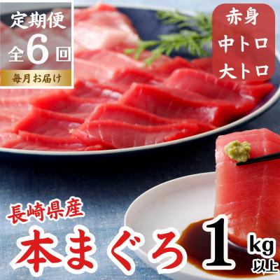 ふるさと納税 佐世保市 【毎月定期便】長崎県産本マグロ「赤身・中トロ・大トロ」贈答用セット(計約1,000g)全6回