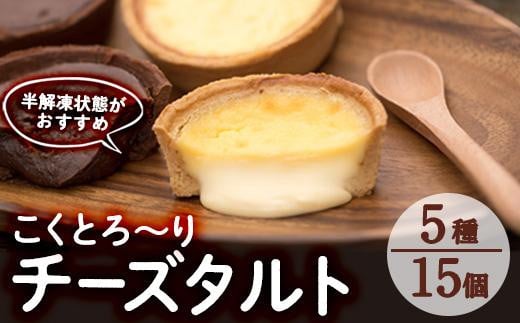 こくとろ～り チーズタルト (合計15個・5種各3個) チーズ スイーツ スウィーツ 菓子 焼き菓子 洋菓子 おやつ 詰め合わせ セット チーズケーキ チョコ 抹茶 イチゴ 苺 ゴルゴンゾーラ 小分け 【ER023】【(株)古川製菓】