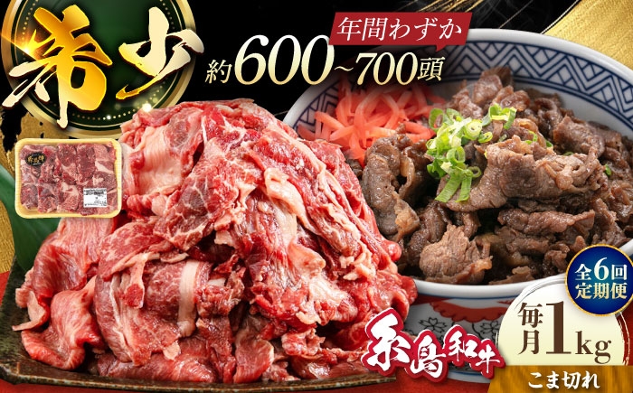
                  【全6回定期便】希少和牛！糸島和牛 こまぎれ 1kg 糸島市 / トラヤミートセンター 牛肉 黒毛和牛 [AJD019]
                