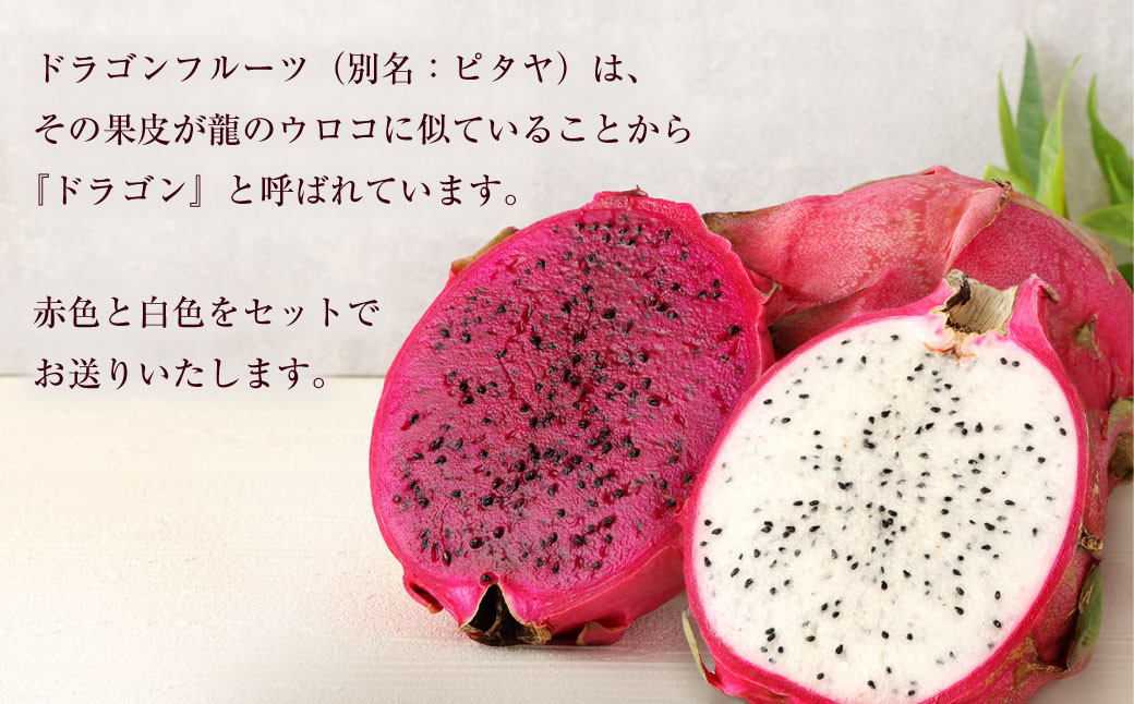 徳之島 天城町産 ドラゴンフルーツ 赤白混合 約2kg