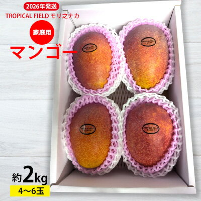 【ふるさと納税】2026年発送【TROPICAL FIELD モリ之ナカ】家庭用マンゴー約2kg（4～6玉） フルーツ 果物 期間限定 数量限定 先行予約 南国 プレゼント お土産 おみやげ ギフト くだもの 沖縄 おきなわ 青果 デザート おすすめ 人気 冷蔵 夏 スイーツ