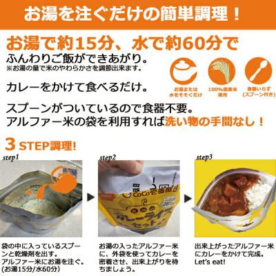 ふるさと納税 江南市 Coco壱番屋監修 尾西のマイルドカレーライスセット 10食セット |  | 01