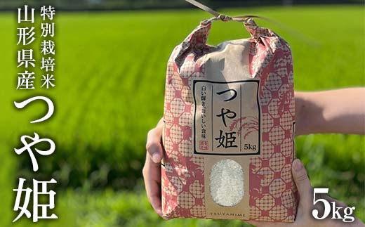 
                  【先行予約 2026年10月中旬から発送】農家の先生が作る“特別栽培米” 山形県産つや姫 5kg （数量限定） FSY-2216
                