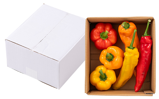 山形県 戸沢村産 彩り豊かな パプリカ&パレルモ 詰め合わせ 約1kg(5～8個) 国産 野菜 やさい パプリカ パレルモ イタリアンパプリカ スイートペッパー サラダ 炒め物 詰合せ セット 贈り物