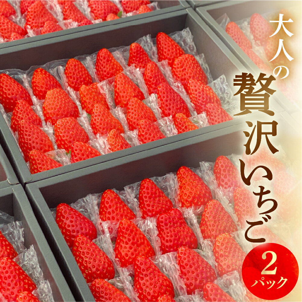 【ふるさと納税】安田農園大人の贅沢いちご 2パック×1 イチゴ いちご 苺 果物 くだもの 激甘 フルーツ 贅沢品 贈答品 高級品 ブランド お取り寄せ 激甘 田原市 産地直送 送料無料 事前予約 安田農園