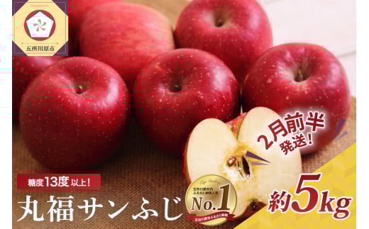 【2026年2月前半発送】 りんご 青森産 約5kg 丸福 サンふじ 光センサー 選果 糖度 13度以上