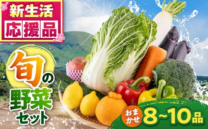 
                  旬の野菜 おまかせ 詰め合わせ セット 8〜10品目 野菜 熊本 新鮮野菜 旬 やさい 産直 産地直送 熊本県【合志物産販売 志来菜彩】 [AYCA001]
                