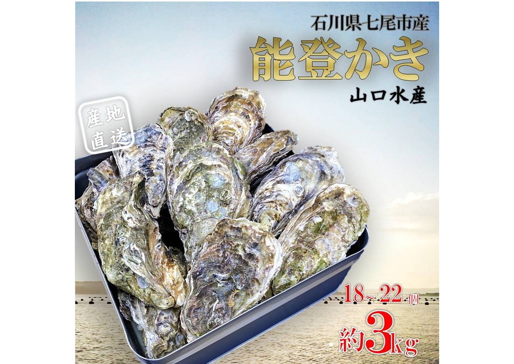 
                  【発送時期が選べる】山口水産の能登かき 殻付き 小缶　3kg(18～22個入)◇ ｜ 石川県 七尾市 能登 ※2025年1月中旬頃～4月下旬頃に順次発送予定 ※離島への配送不可
                