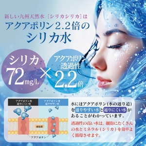 九州天然水 シリカシリカ 500ml×24本 九州 天然水 シリカ シリカ水 500ml 24本 飲料水 軟水 美容 ミネラル 大分県 玖珠町 くじゅう連山 名水百選 ナチュラルミネラルウォーター ア