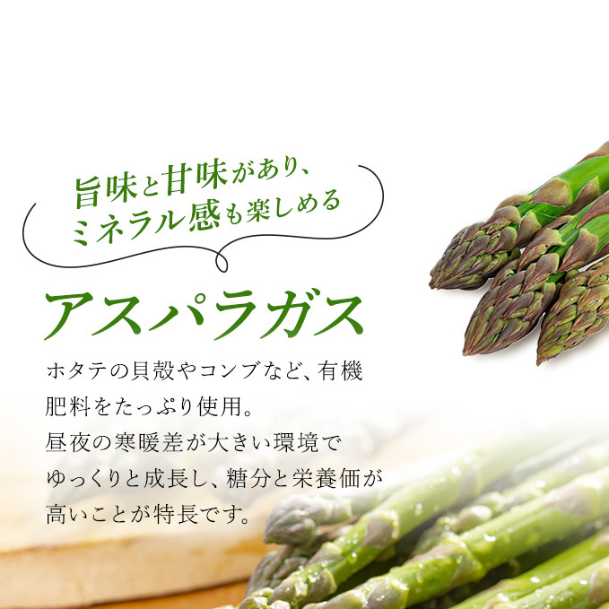 【  2026年 発送 】 先行予約  北海道 上富良野産 グリーン アスパラガス 2L サイズ 400g アスパラ 上富良野町 令和7年 発送 野菜 やさい【オンライン決済限定】_イメージ3