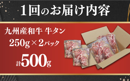 【3回定期便】【塩だれ】九州産和牛の牛タン 約500g（約250g×2パック）国産 牛 タン たん 和牛＜岩永ホルモン＞ [EAX085] / タン 牛たん 牛タン 薄切り タン 牛たん 牛タン 味付