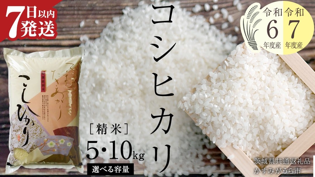 
            《 令和6年産・令和7年産 》 コシヒカリ 精米 5kg ～ 10kg ( 選べる 内容量・発送時期 ) (茨城県共通返礼品 かすみがうら市) 最短7日営業日以内発送 新米 米 ごはん もっちり 甘い コメ お米 白米 銘柄米 [EX001sa00]
          
