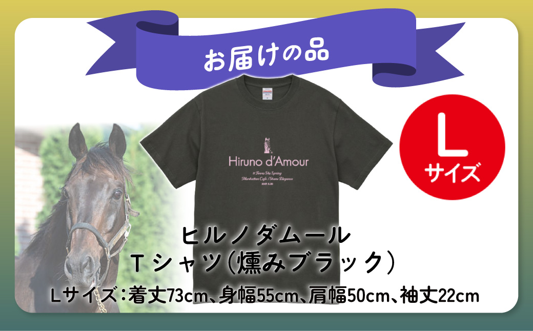 【ヒルノダムール】（燻みブラック）Ｔシャツ 選べる４サイズ【Ｌ】 BRTV300-3