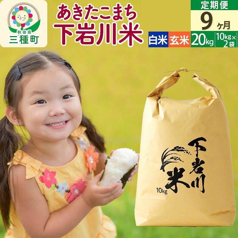 【ふるさと納税】【R8年新米予約】 《9ヶ月定期便》【白米／玄米】あきたこまち 20kg (10kg×2袋) 秋田県三種町産 令和8年産 下岩川米