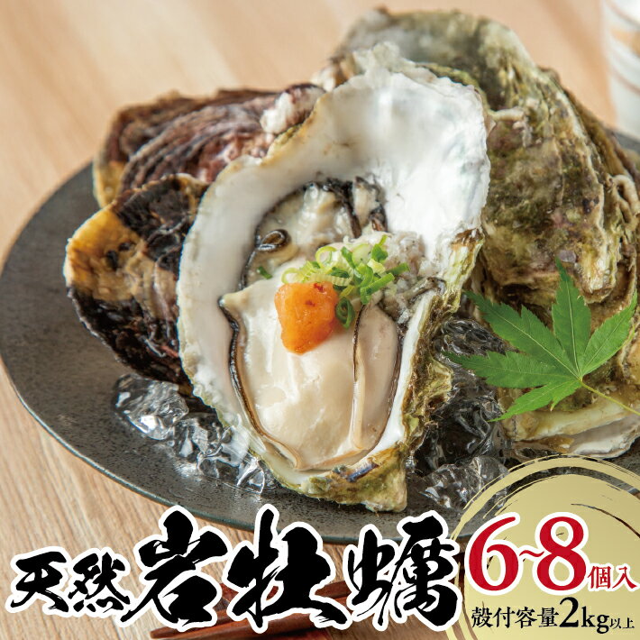 【ふるさと納税】天然岩牡蠣 6～8個入 計2kg以上 殻付き 酒田沖 6月上旬～9月上旬頃お届け 冷蔵便 ※着日指定・離島発送不可（沖縄県を含む） 東北 山形県 庄内地方 日本海 かき カキ 海産物 シーフード 海鮮 新鮮 鮮魚 まるごと 生食 期間限定