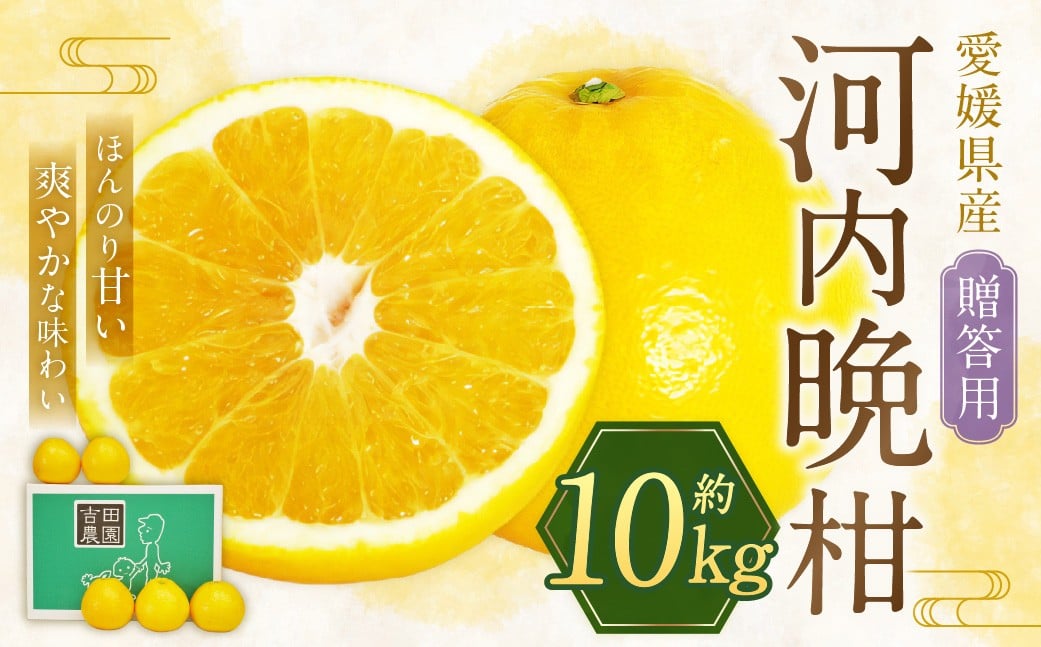 
            【2026年4月上旬より順次発送】贈答用 河内晩柑 10kg【えひめの町（超）推し！（愛南町）】(383-1)
          