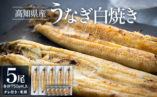高知県産うなぎの白焼き 5尾 合計750g以上（1尾150〜180g）タレ付き エコ包装 - 鰻 ウナギ しらやき たれ 有頭 おつまみ ご飯のお供 うな丼 うな重 簡易包装 ご家庭用 ご自宅用 老舗 国産 土佐湾 丼ぶり ひつまぶし 肴 夕飯 夕食 朝食 ご飯のお供 土用の丑の日 お取り寄せ パック お祝い 贅沢 ぜいたく お礼 御礼 挨拶 あいさつ 内祝い 美味しい おいしい おとりよせ お取り寄せ グルメ 晩酌 お酒のお供 うなぎ大好き  吉川水産 高知県 香南市 冷凍 yw-0060