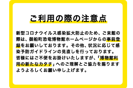 熊本県御船町 御船町恐竜博物館観覧チケット（大人3名様） 《30日以内に出荷予定(土日祝除く)》 御船町恐竜博物館