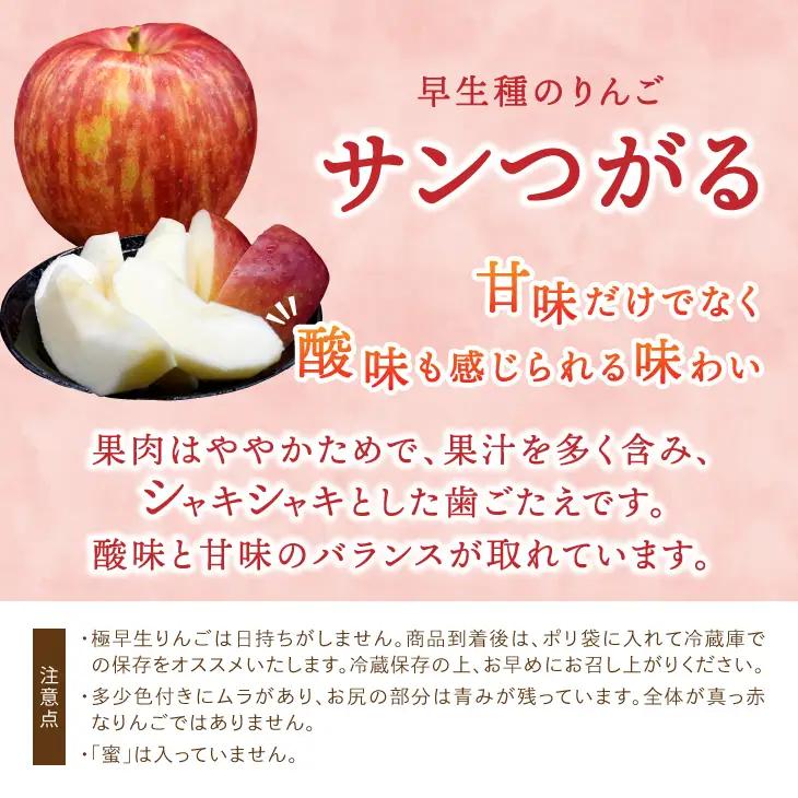 数量限定 江刺りんご サンつがる 5kg(16～20玉) 【9月中旬以降お届け】離島配送不可 [AQ022]